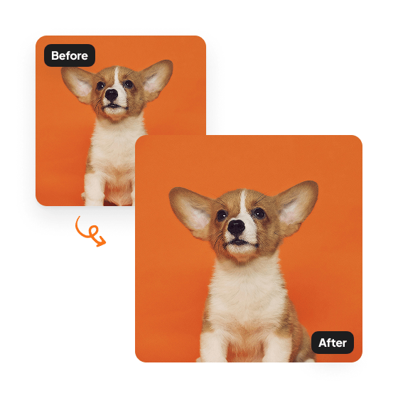 A sample result from the Image Upscaler, previewing an improved photo.
