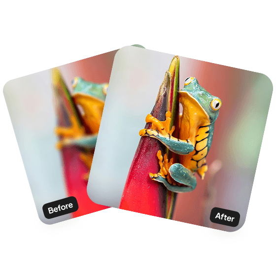A sample result from the Unblur Image tool, previewing an improved photo.