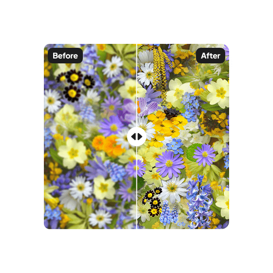 A second sample result from the Unblur Image tool, showing another edit.